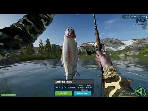 Ultimate Fishing Simulator #1 - LẦN ĐẦU TIÊN CÂU ĐƯỢC CÁ