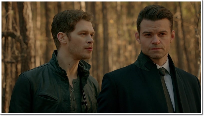 6 Things About Klaus-Elijah Mikaelson That You Might Not Know - Humor Nation