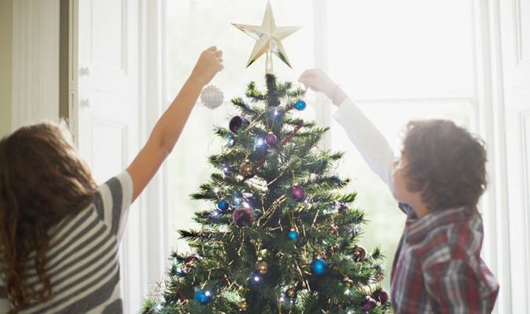 Christmas Trees Indoors Can Be Toxic To Pets And Children - What To Avoid  In Your Home | Express.Co.Uk