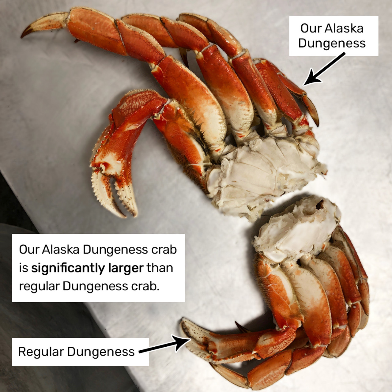 Jumbo Alaska Dungeness Crab Legs | Fishex Seafoods