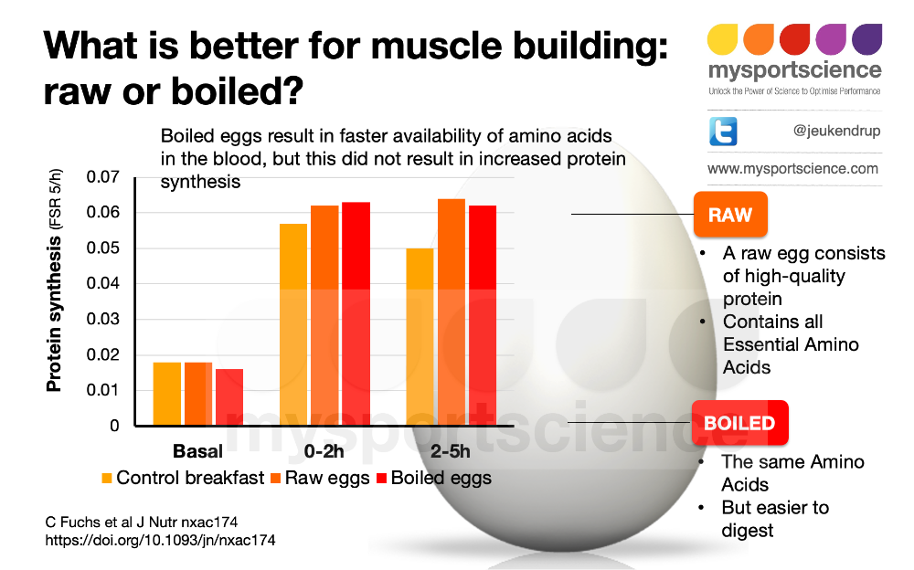 Is It Better For Muscle Building To Eat Eggs Raw?