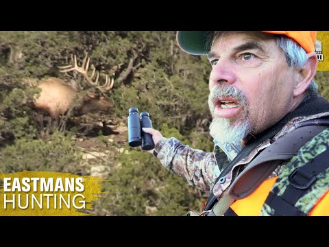 Elk Hunting One Of Colorado's Best Areas