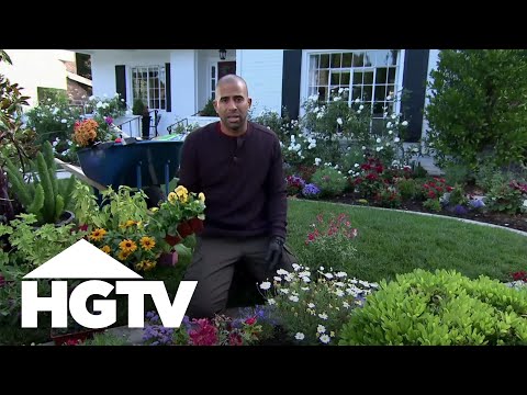 Annuals vs. Perennials | Gardening Tips | HGTV