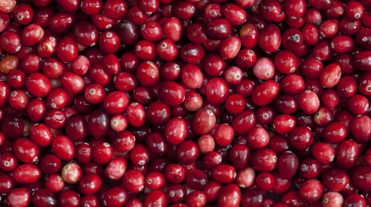 Your Cranberries Probably Come From One Or 2 States