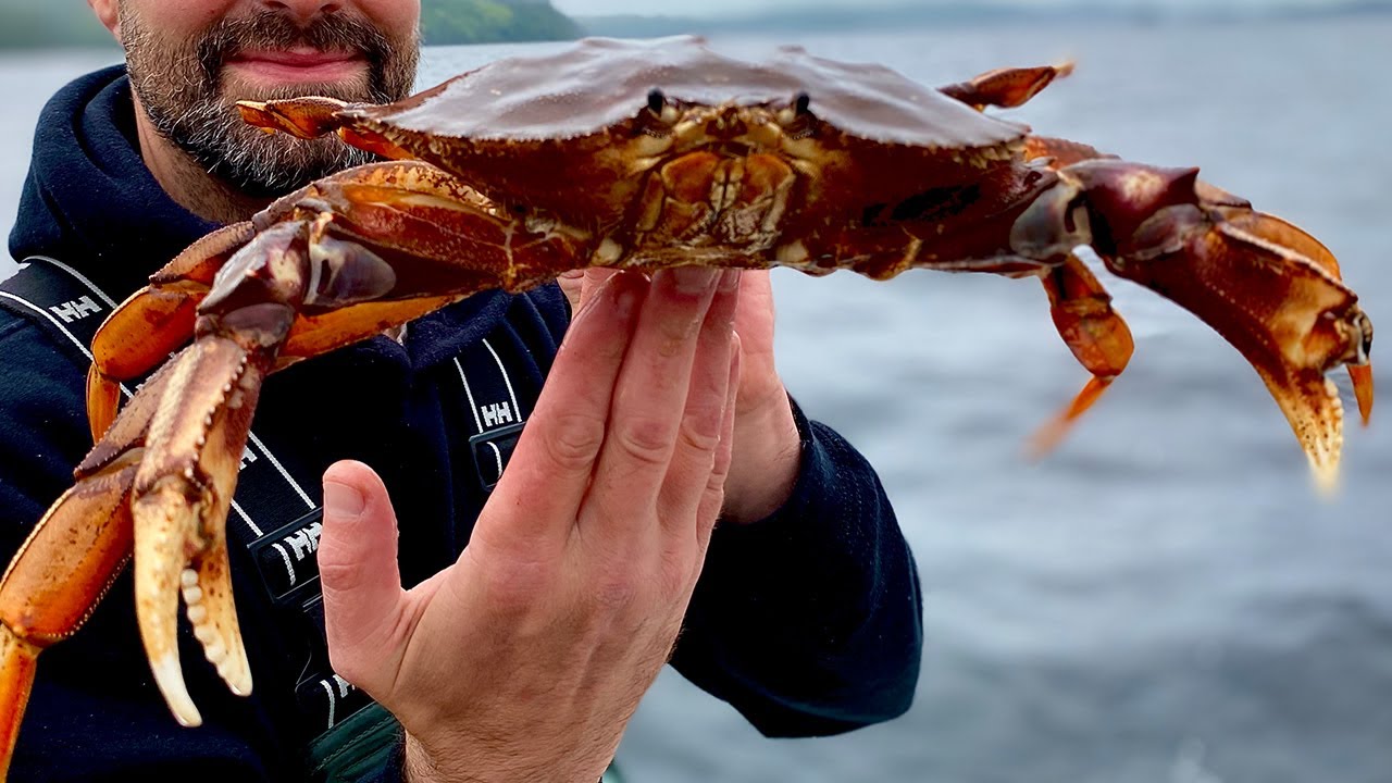 How To Catch Dungeness Crab In Alaska - Youtube
