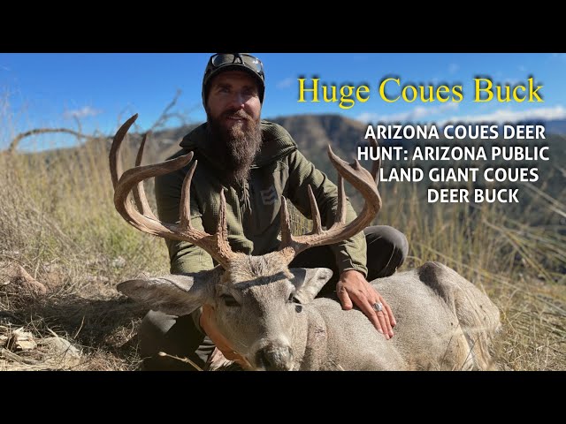 Arizona Coues Deer Hunt: Arizona Public Land Giant Coues Buck!!! - Youtube