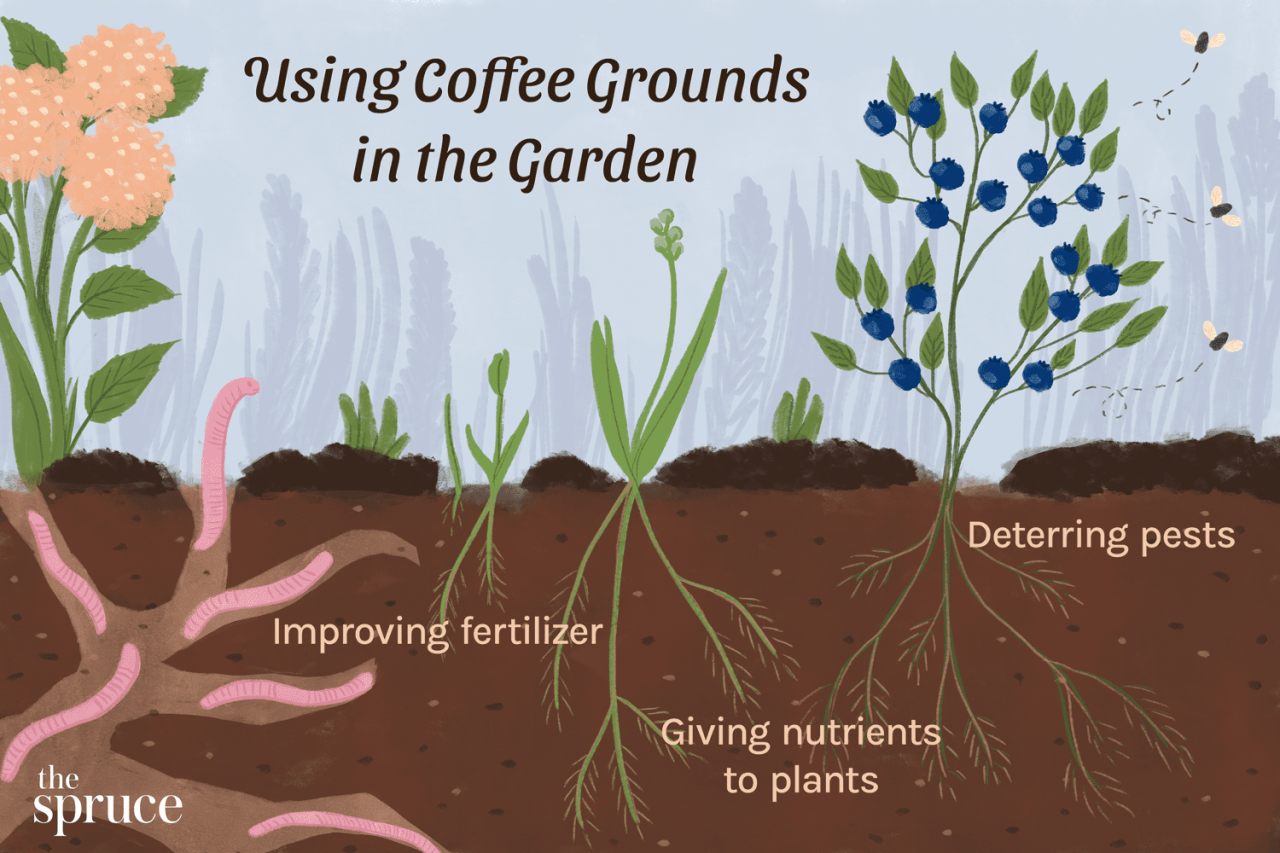 Using Coffee Grounds For Plants: Coffee In Compost And Fertilizer