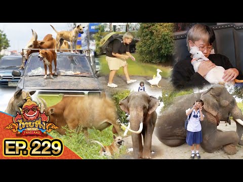 ไทยทึ่ง WOW! THAILAND | EP.229 #ไทยทึ่งสเปเชียล รวมความน่ารัก สัตว์เลี้ยงแสนรู้