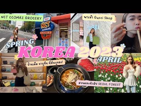VLOG KOREA 2023💖SPRING🌷เที่ยวเกาหลีเมษา💐สวนดอกทิวลิป, NCT CCOMAZ ,ช้อปแบรนด์เนม,ชาบูจีนร้านปัง!
